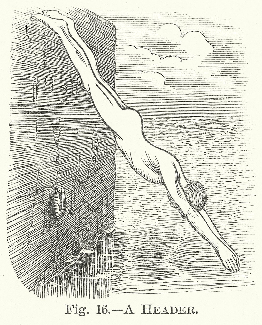 A Header by English School