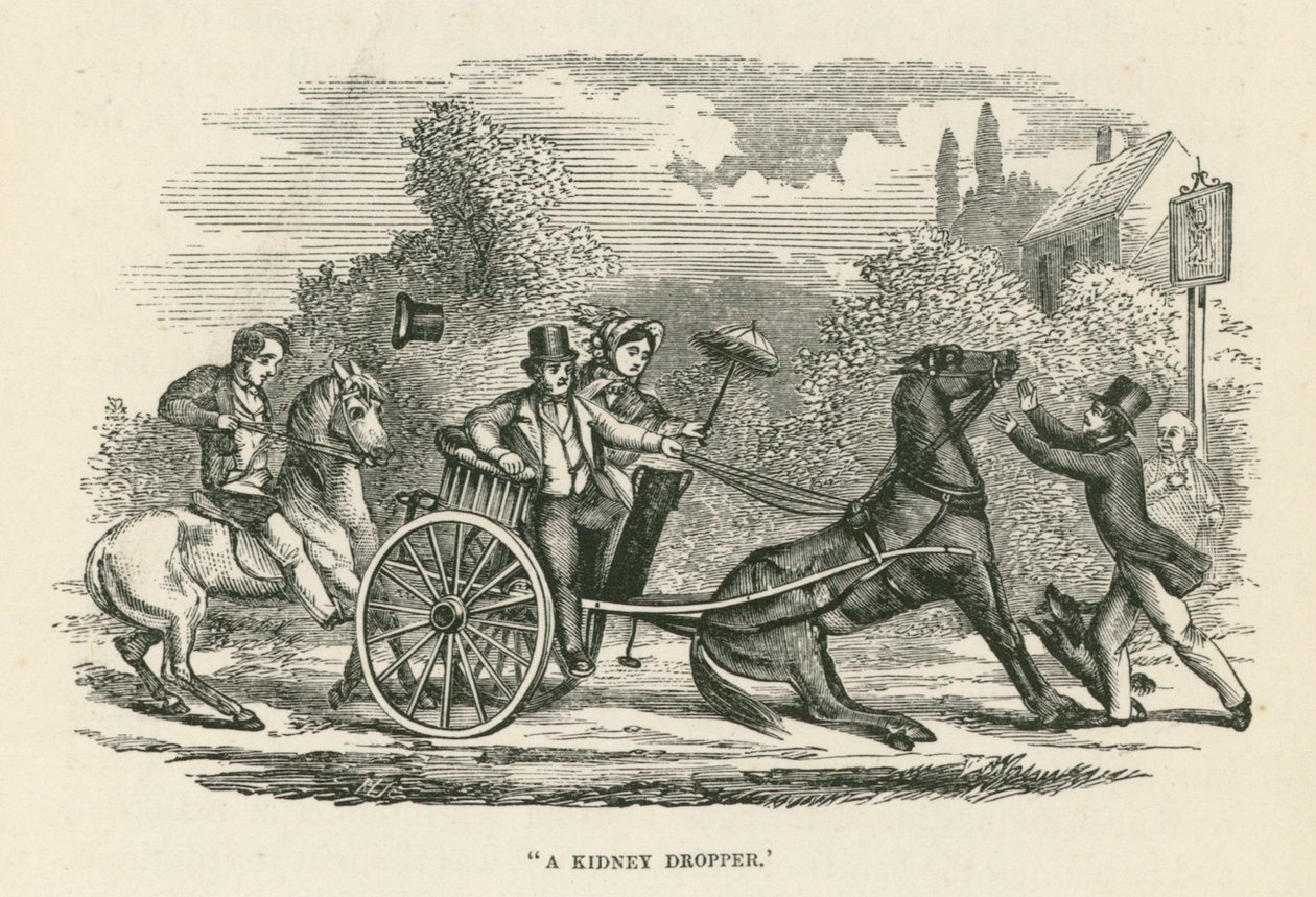 A Kidney Dropper by English School