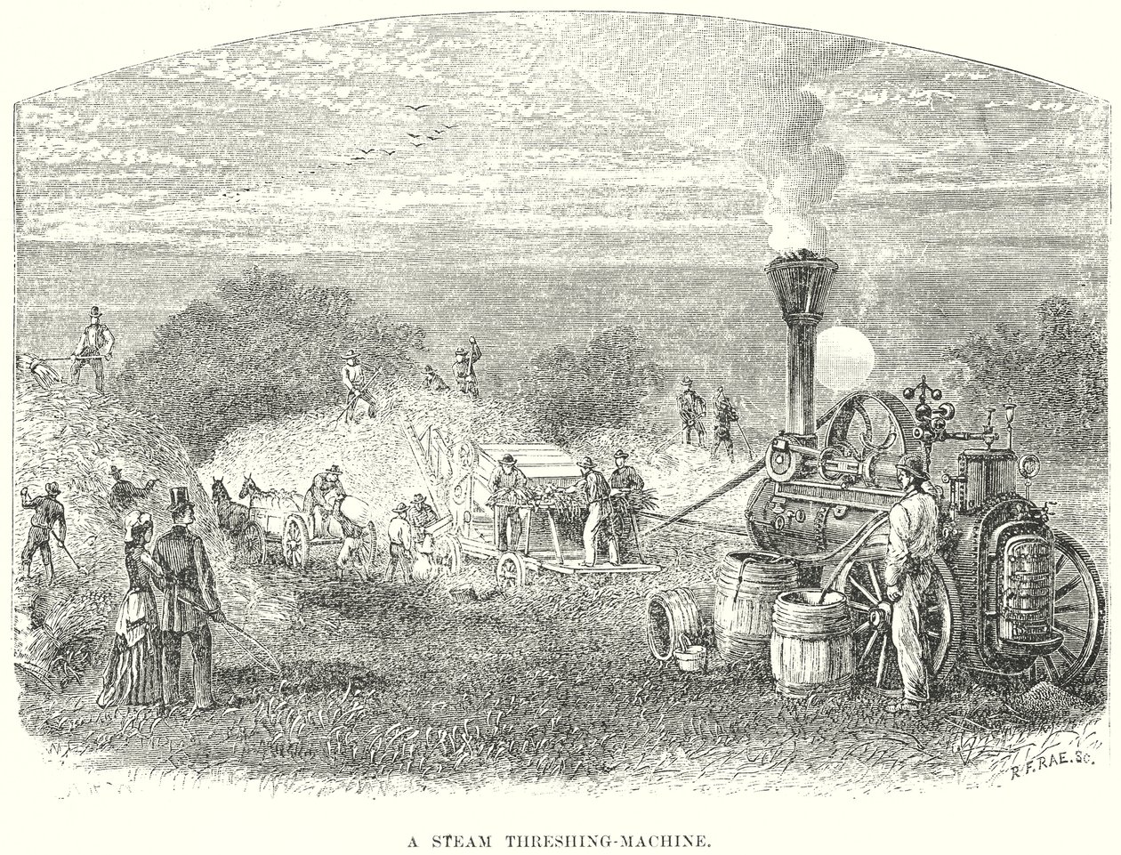 A Steam Thrashing-Machine by English School