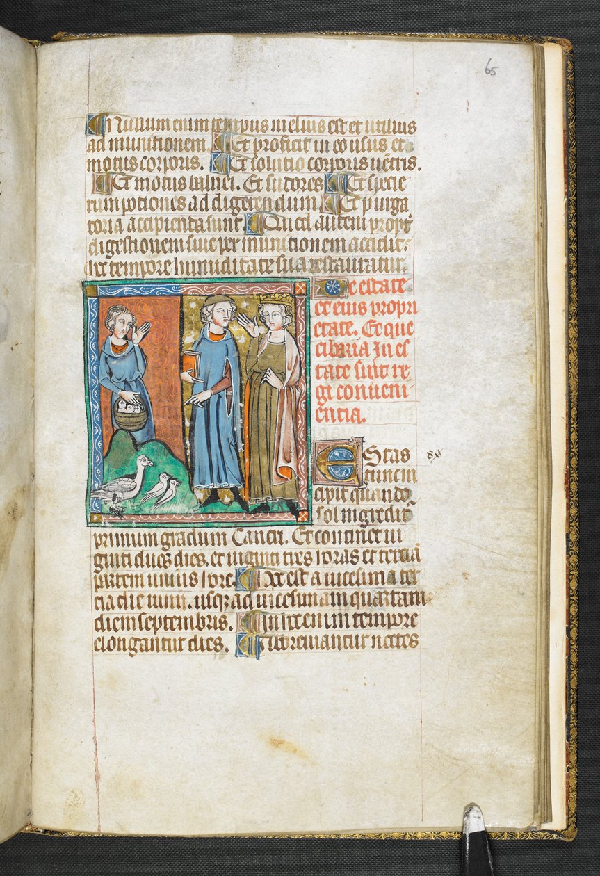 Aristotle pointing at birds brought to the king, from Secretum Secretorum by English School