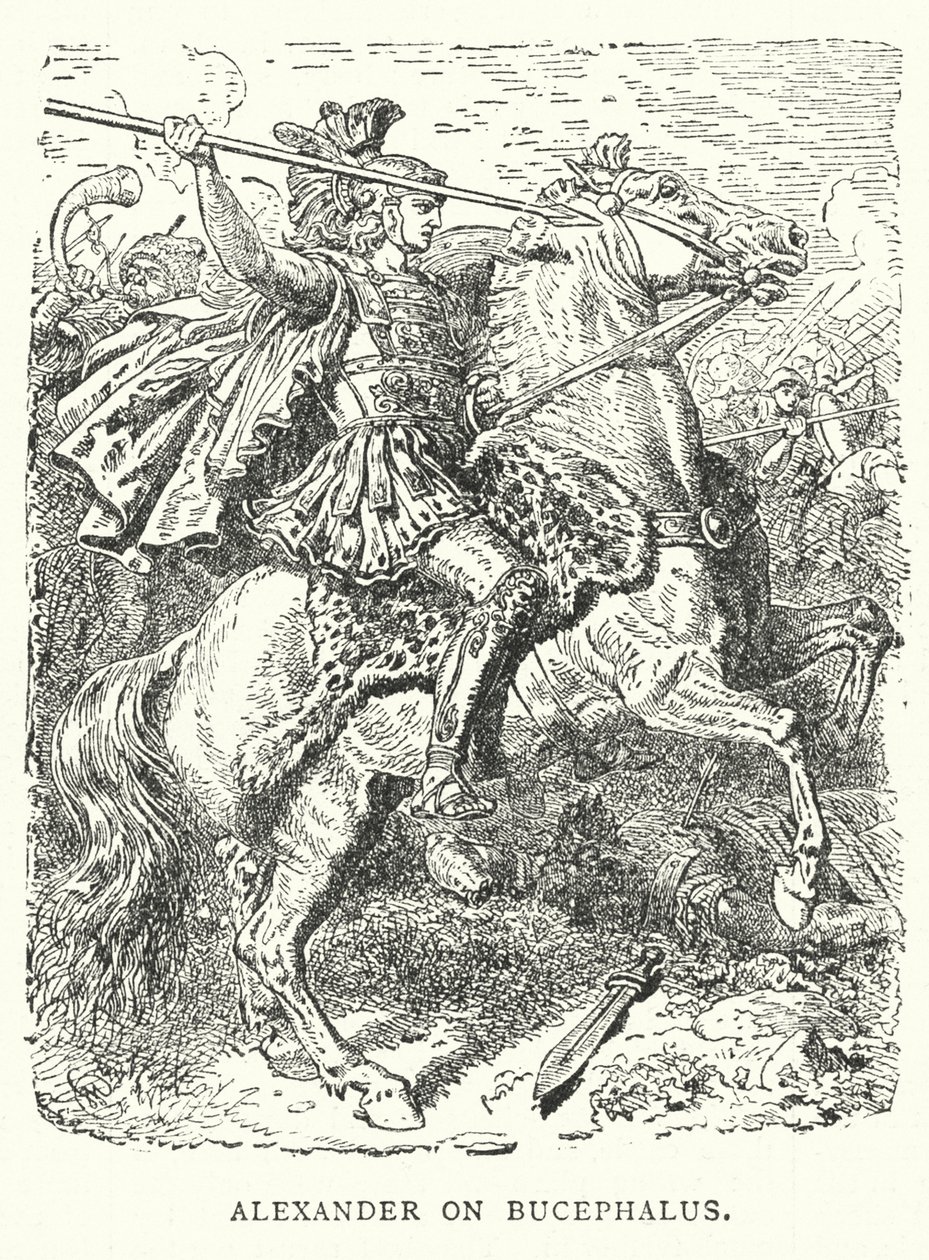 Alexander on Bucephalus by English School