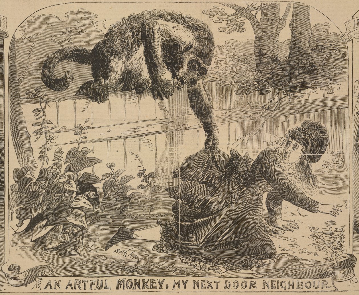 An Artful Monkey, My Next Door Neighbour, illustration from the 