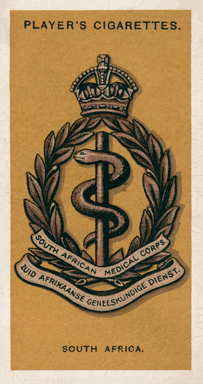 Army Badges: South Africa by English School