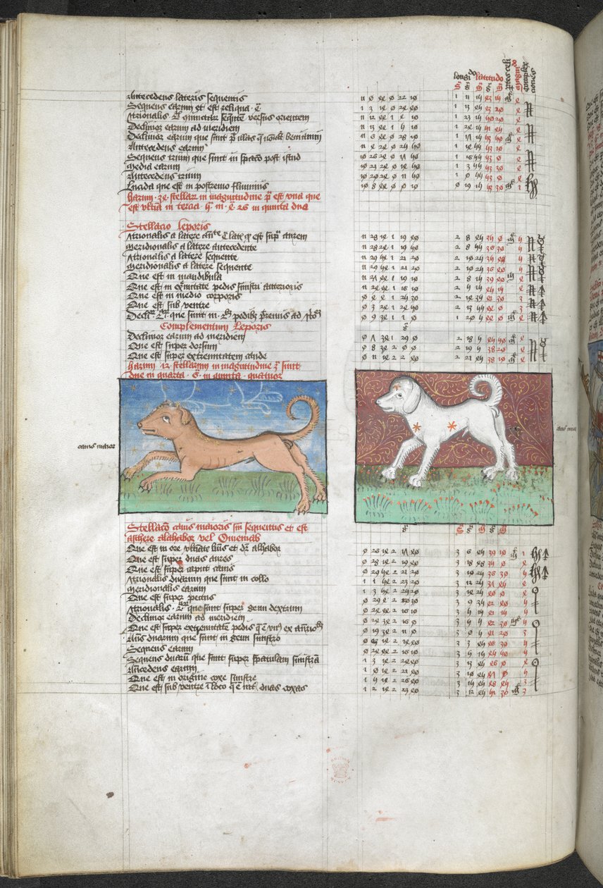 Canis maior and Canis minor depicted as dogs 
