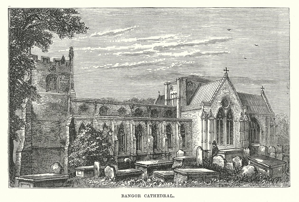 Bangor Cathedral by English School