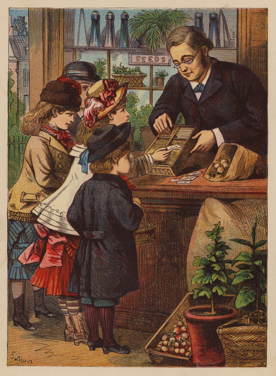 Buying the Seeds by English School