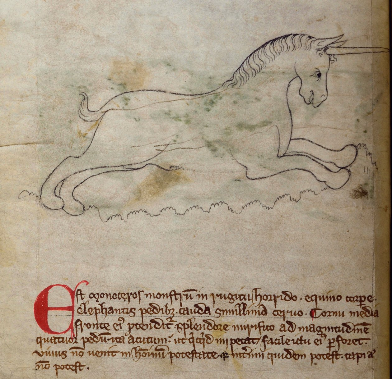 Monoceros, from Bestiary by English School: Fine art print
