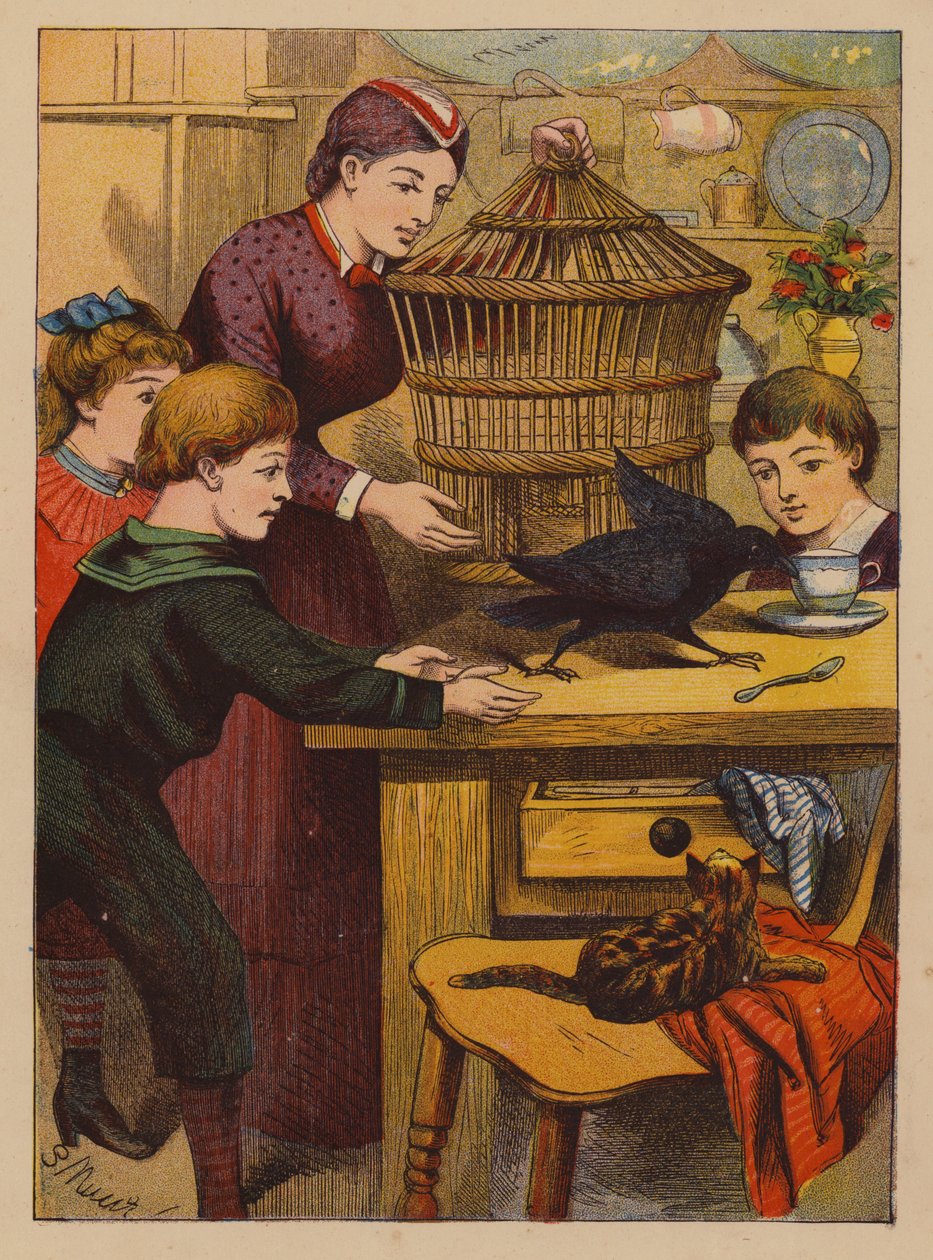 Clever Tricks by English School