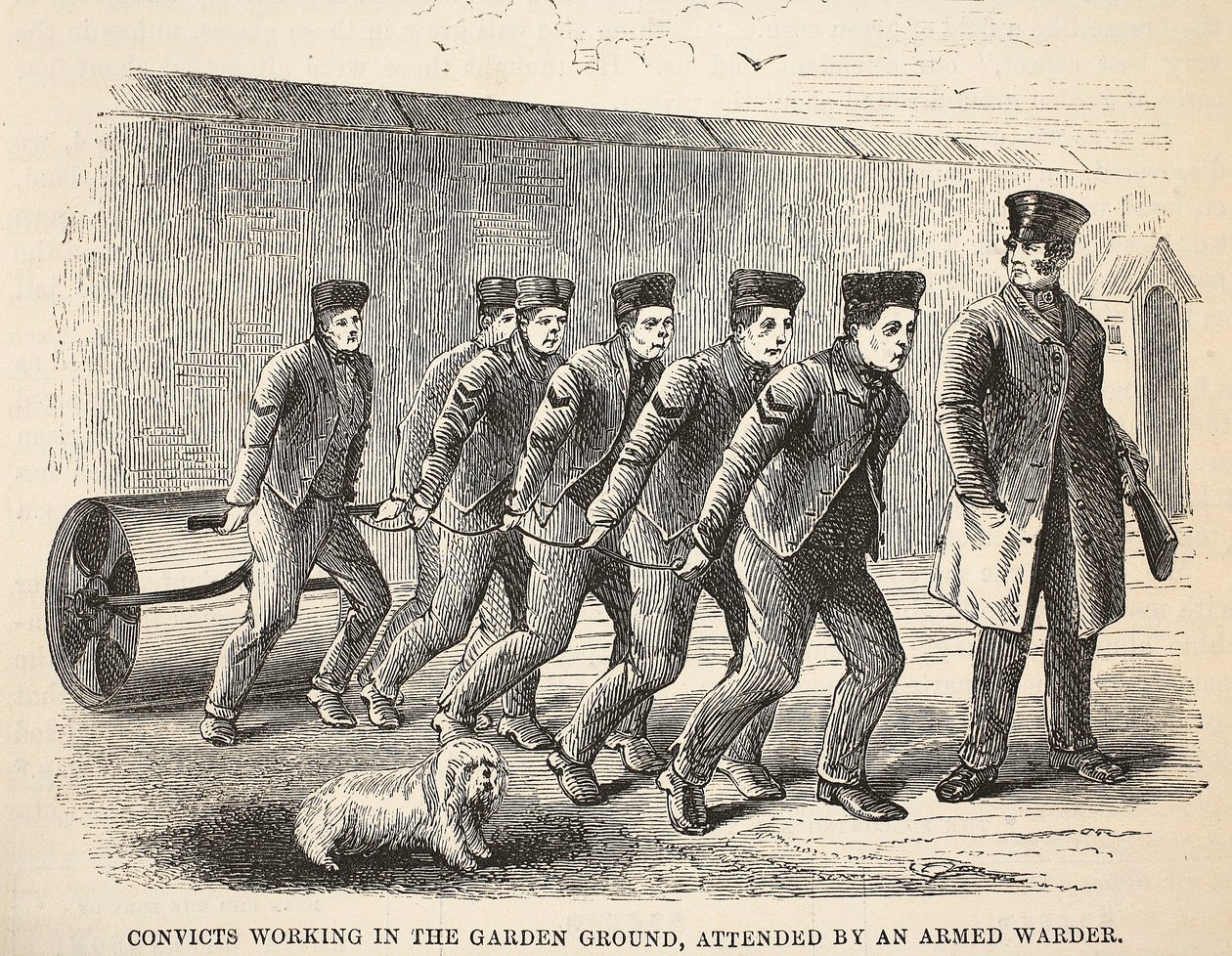 Convicts working in the garden ground, attended by an armed warder, illustration from The Criminal Prisons of London and Scenes from Prison Life by Henry Mayhew and John Binny, published 1862 by English School