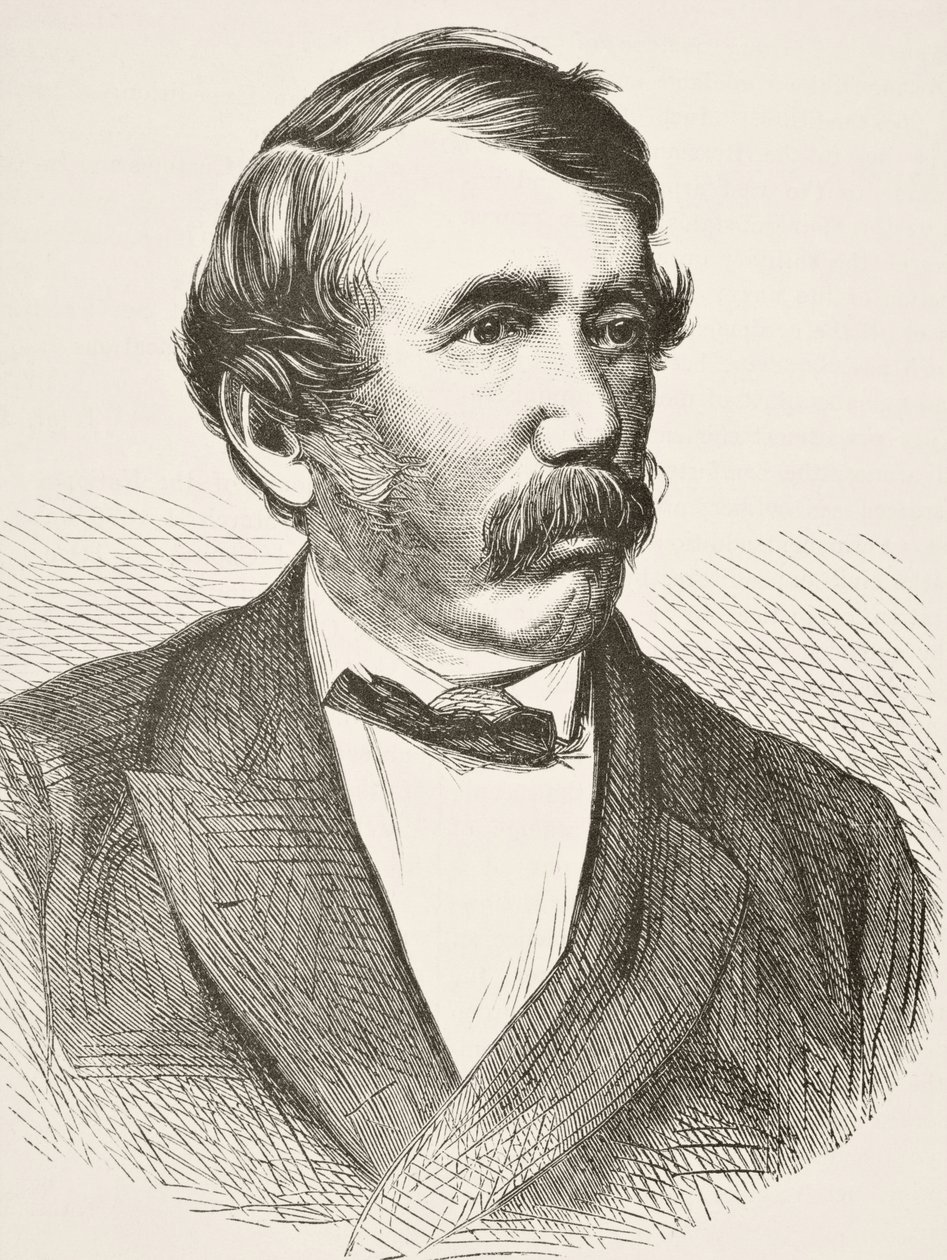David Livingstone, from 'The National and Domestic History of England ...