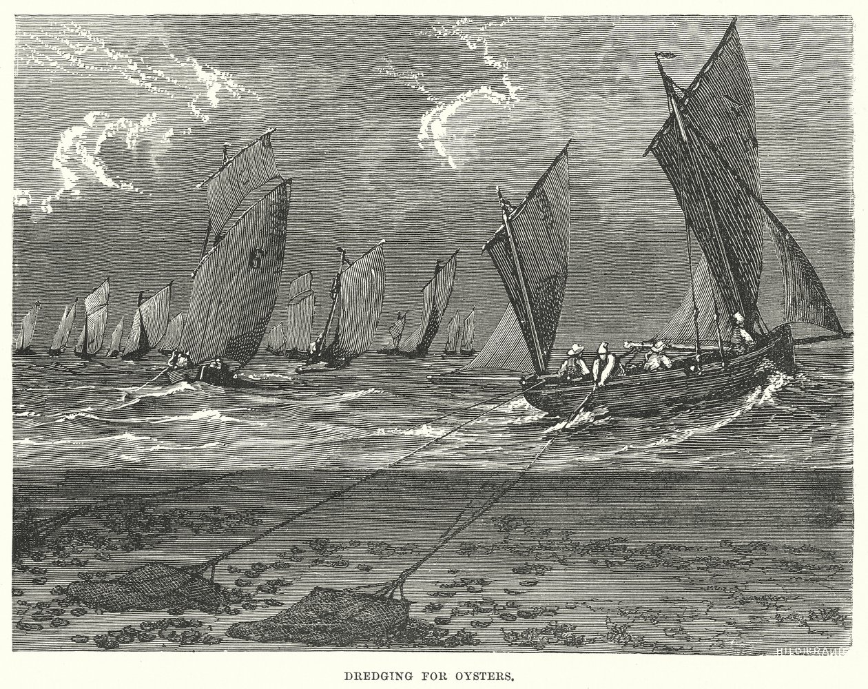 Dredging for Oysters by English School