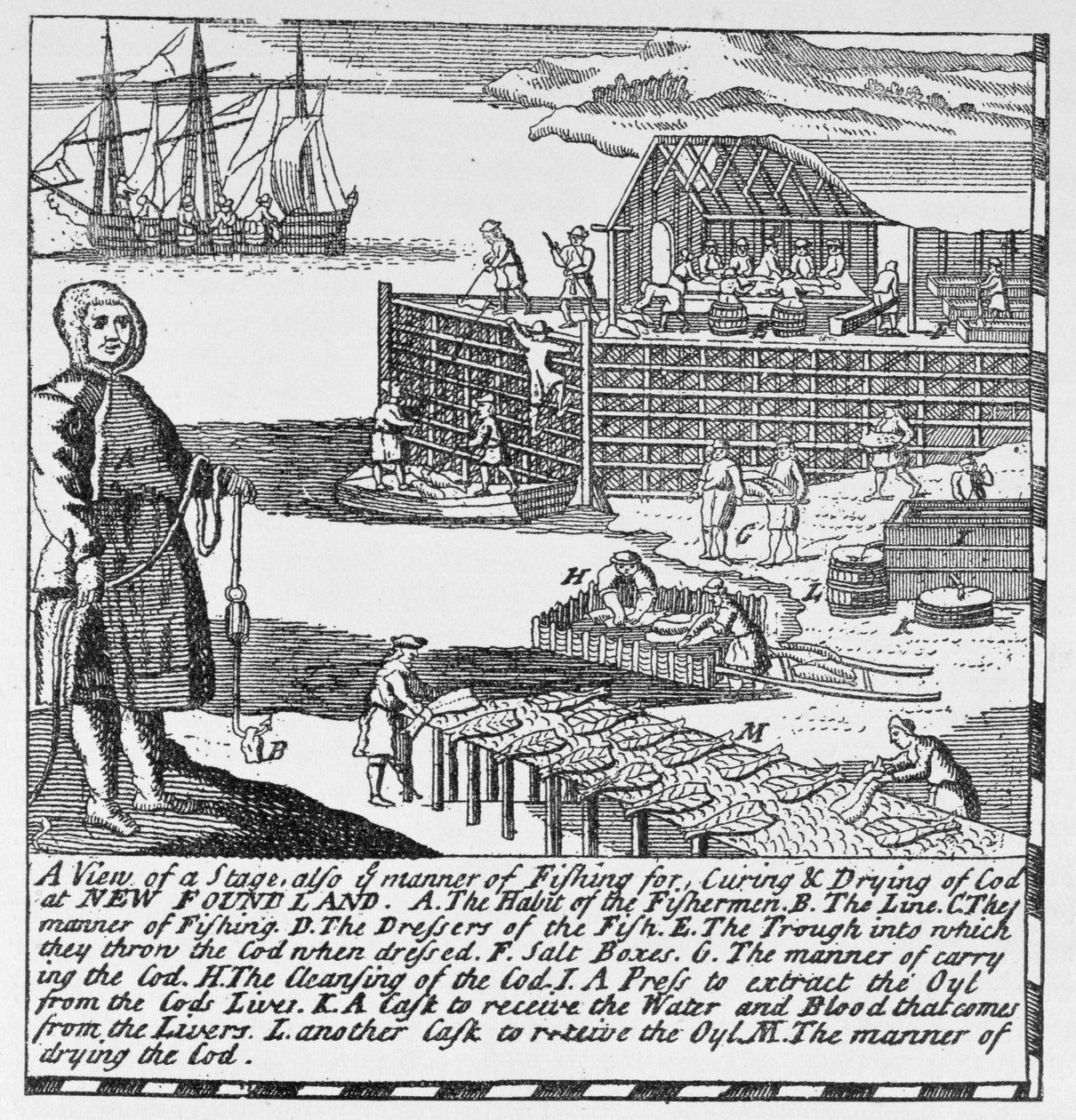 Early Fishing Stages, illustration from Volume IV of 