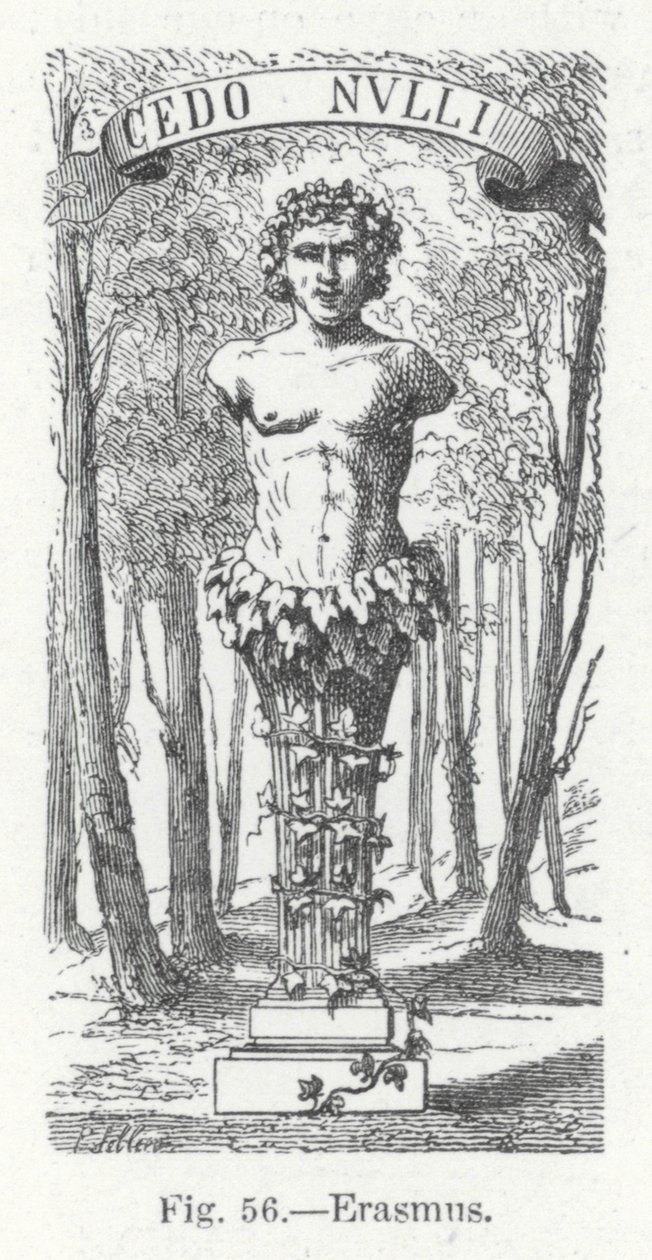 Erasmus by English School