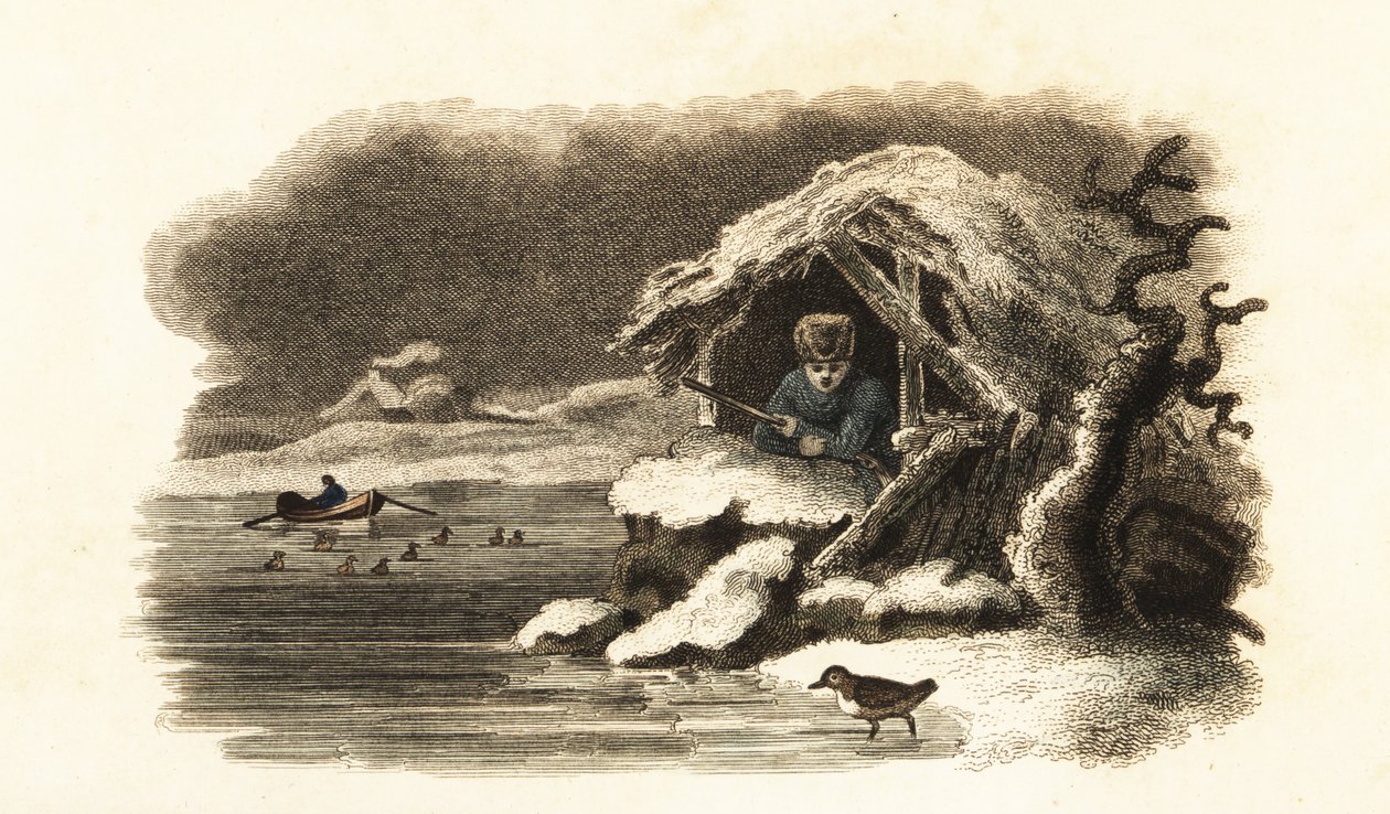 European Water Ouzel Walking into Lake Nantua, France, and Continuing Submerged on the Bottom of the Lake in a Bubble of Air by English School