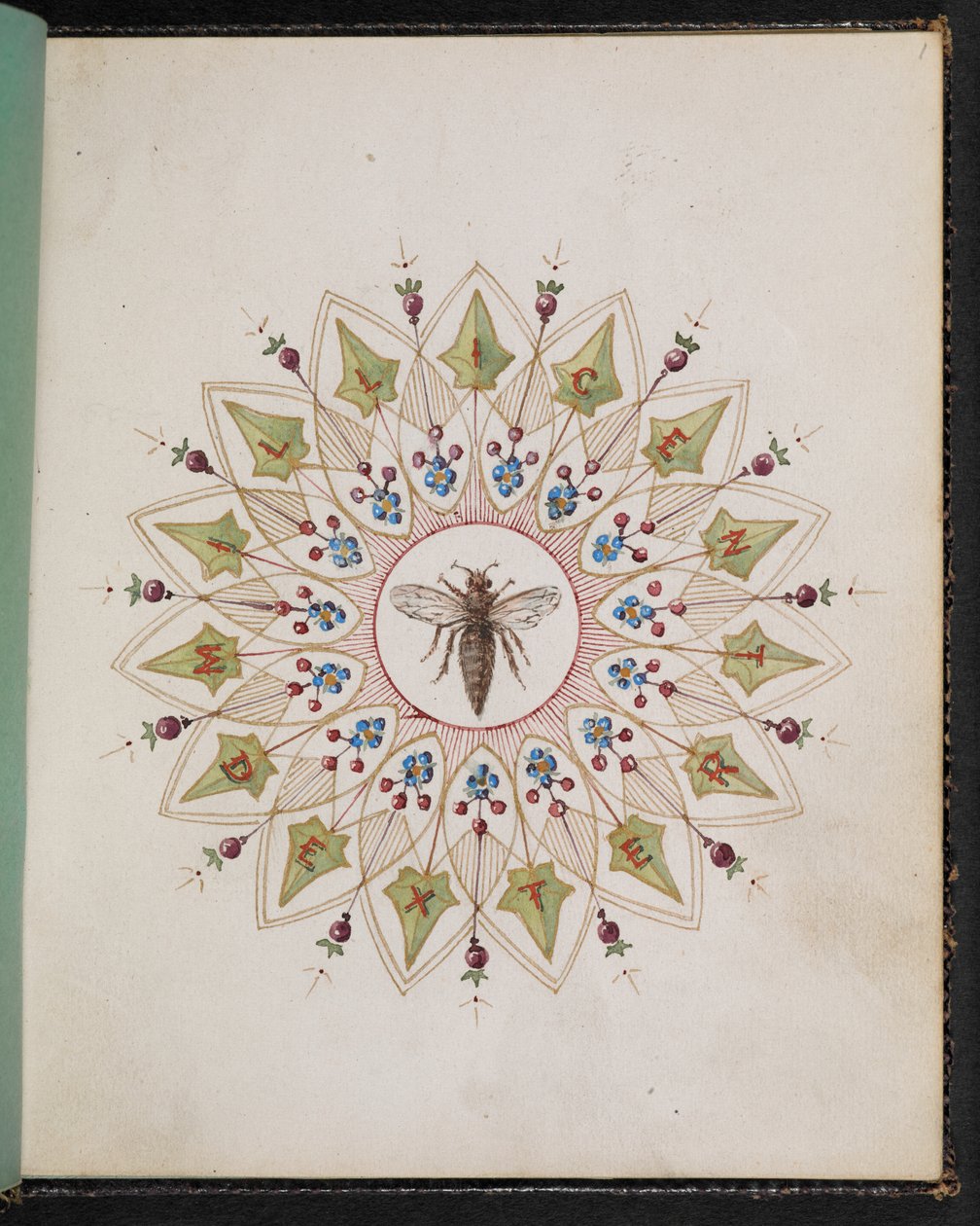 F.1: Insect within a design. Sketch book with scenes from Charles Dickens stories by English School