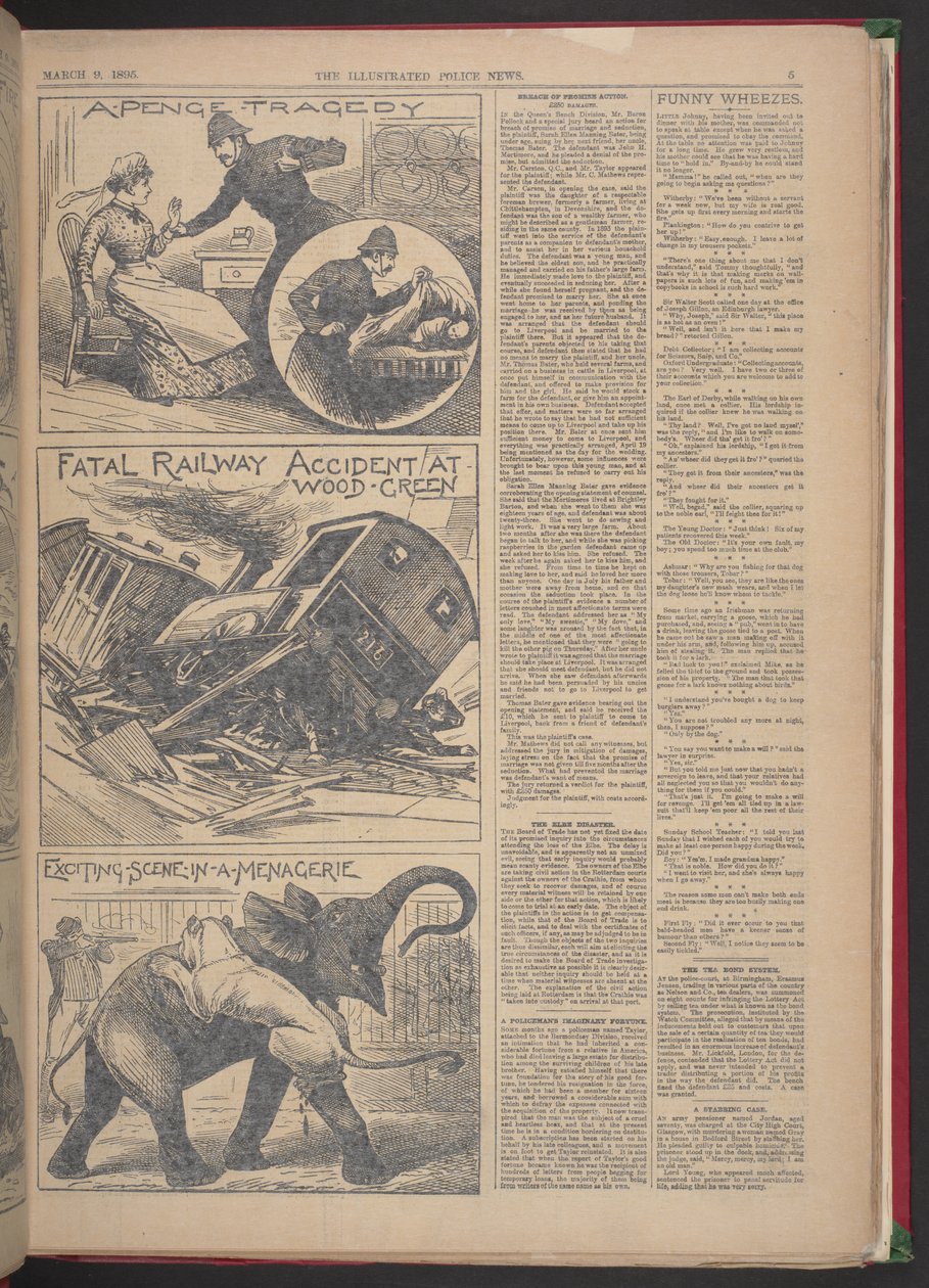 Fatal Railway Accident at Wood-Green, Illustrated Police News, 9 March 1895 by English School