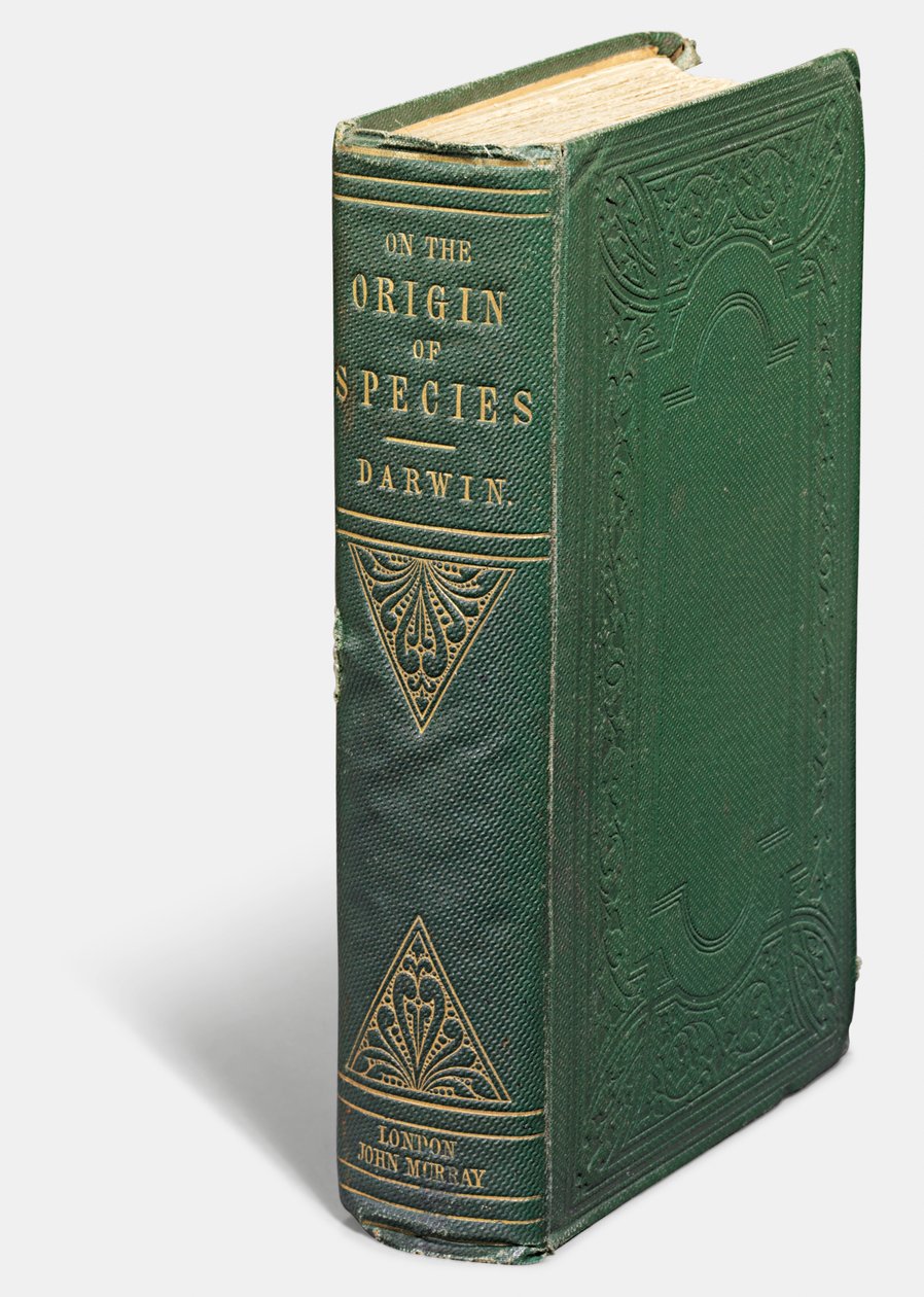 First edition of 