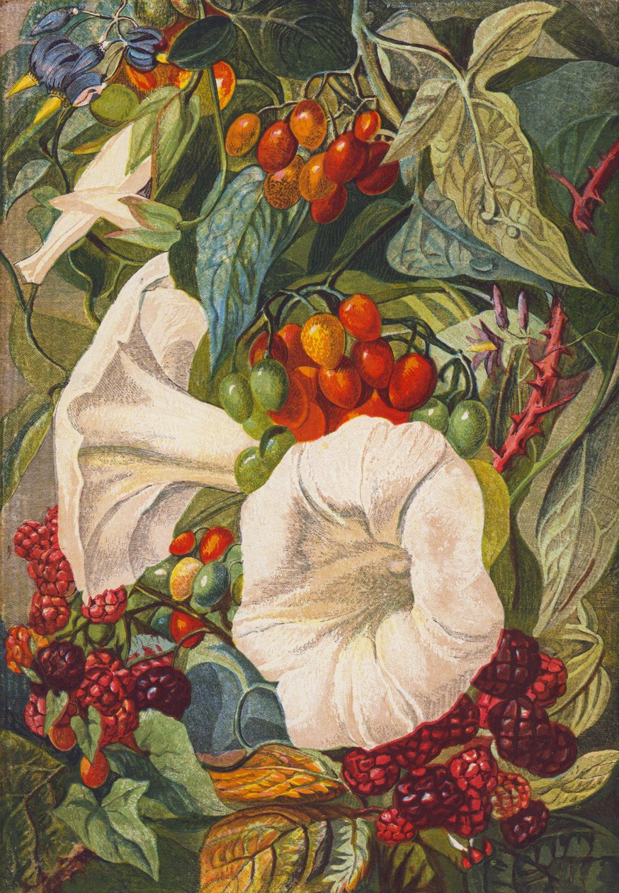 Flowers and Berries by English School