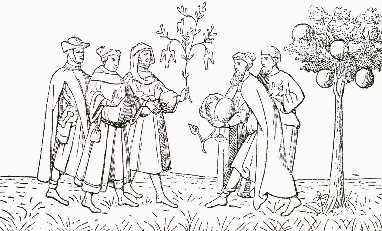 Friar Oderic of Pordenone Holding a Branch from a Tree on Which Birds Grow, Being Shown in Turn by the Local King, the Lamb Tree of Tartary, Showing a Lamb Emerging (Illustration from The Strand Magazine) by English School