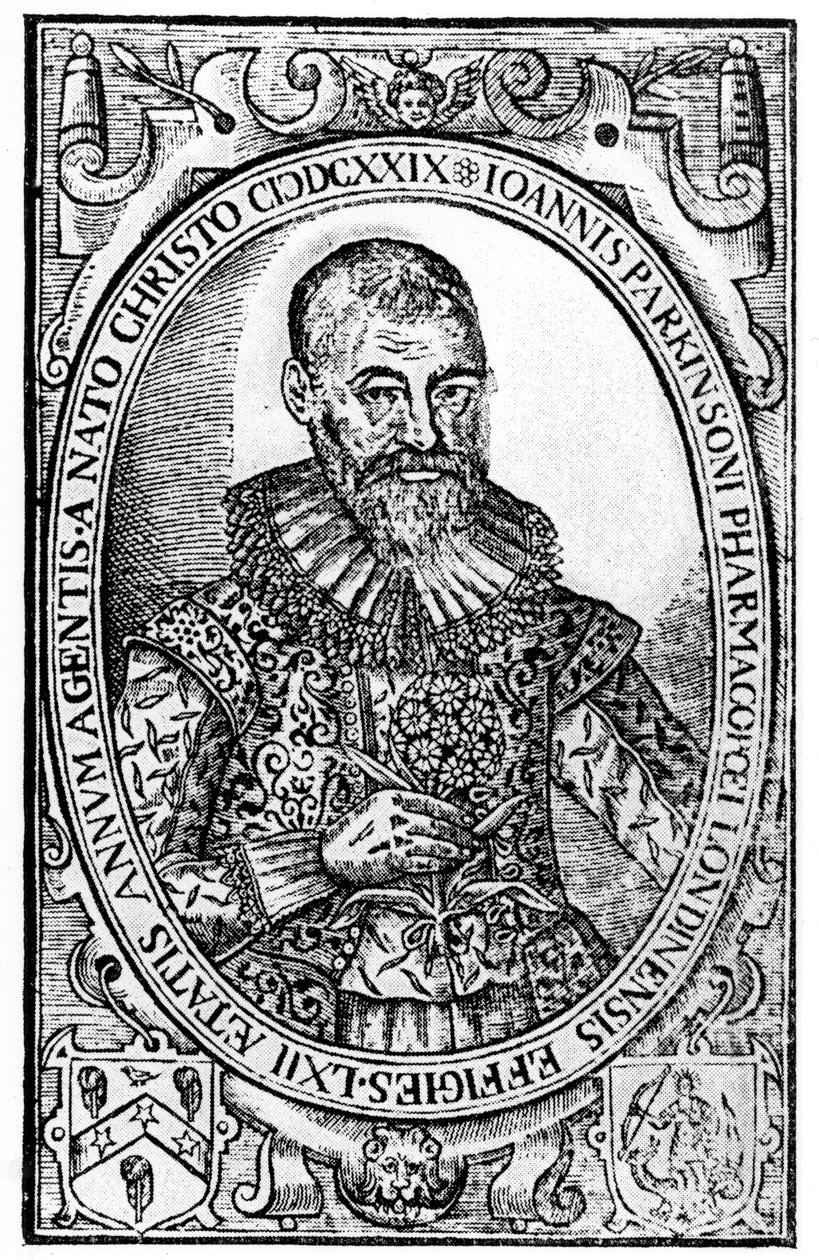 Frontispiece for Paradisi in Sole Paradisus Terrestris by John Parkinson, published 1629 by English School