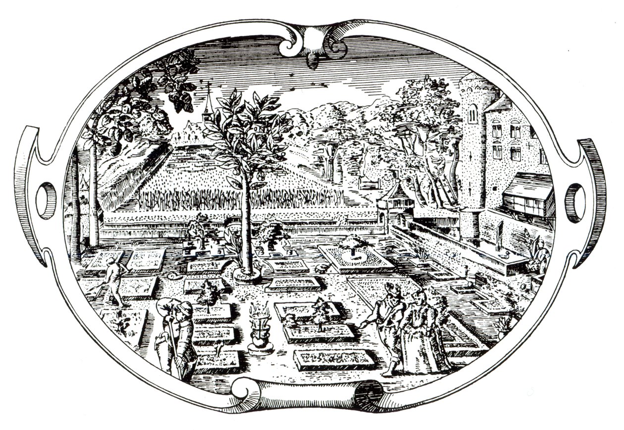 Frontispiece, from The Herball, by John Gerard by English School