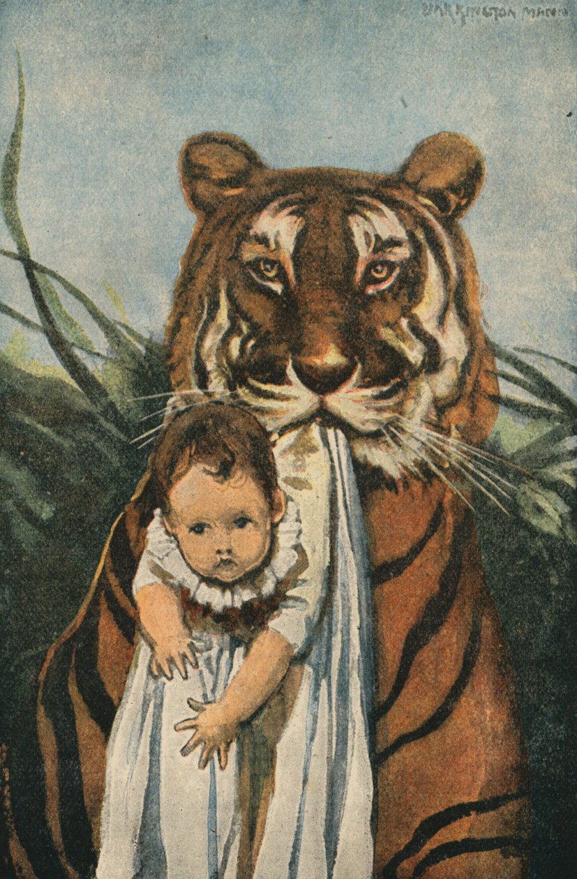 Good Tiger by English School