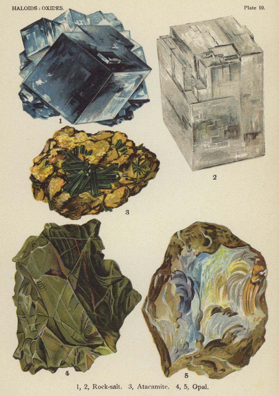 Haloids, Oxides, Rock-Salt, Atacamite, Opal by English School