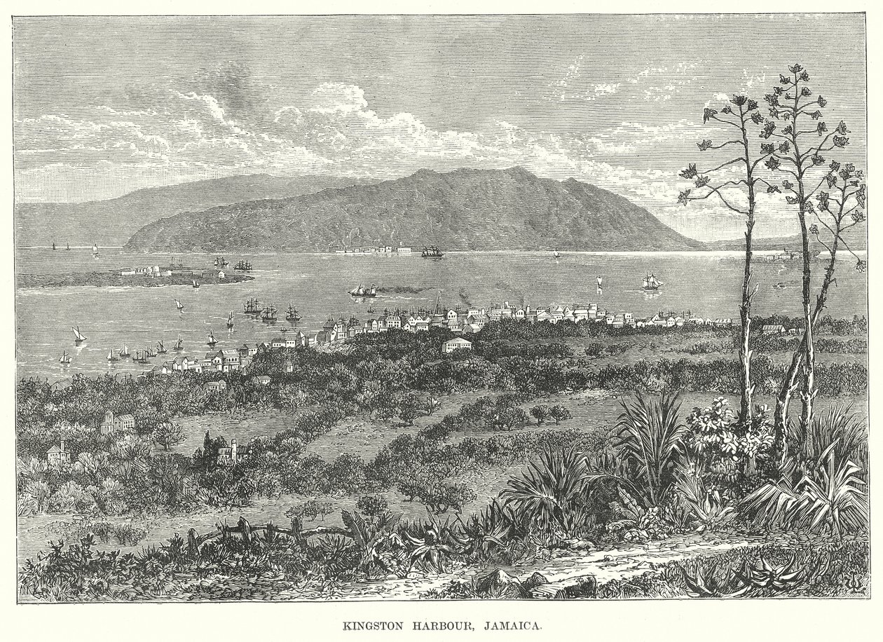 Kingston Harbour, Jamaica by English School