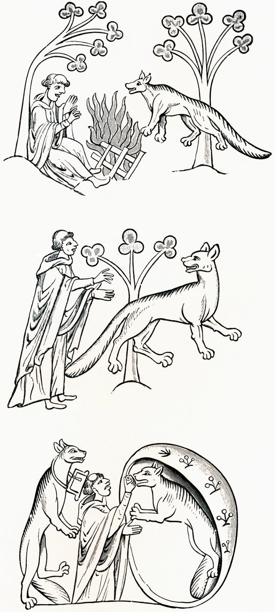 Legend of the priest and people changed into were-wolves, from 
