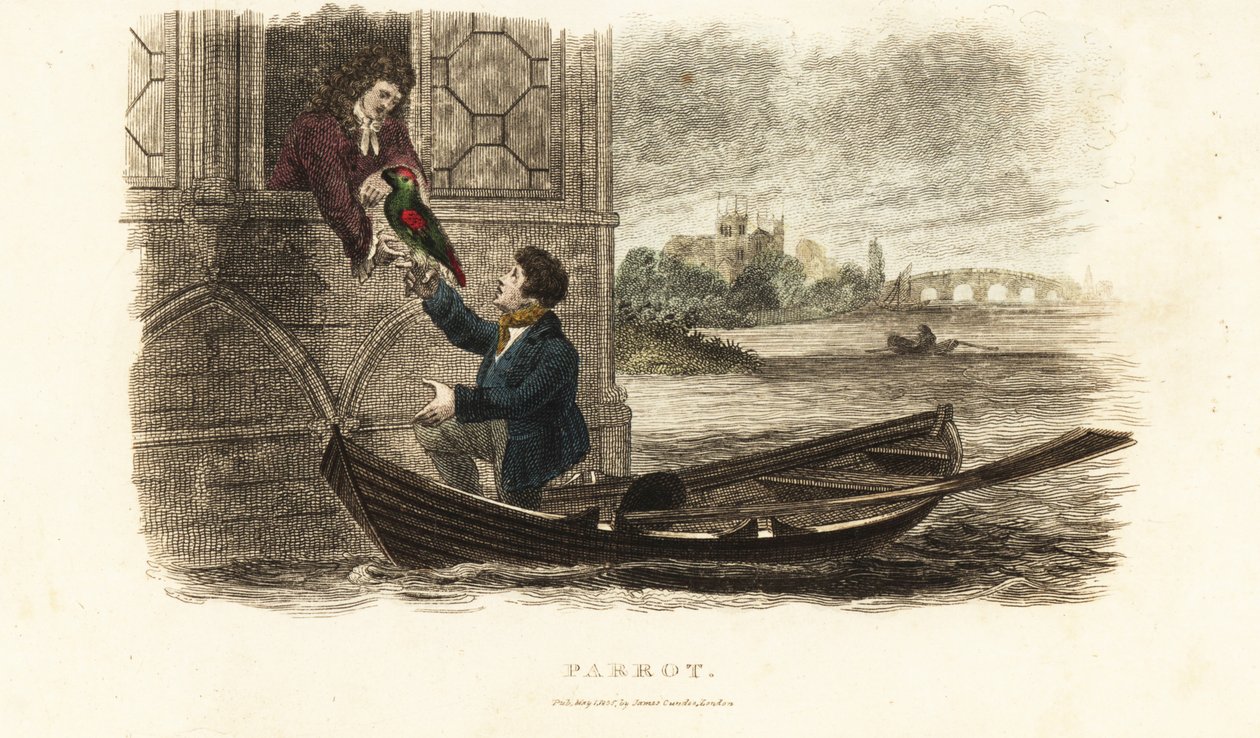 London boatman saving a talking parrot belonging to King Henry VIII of England by English School