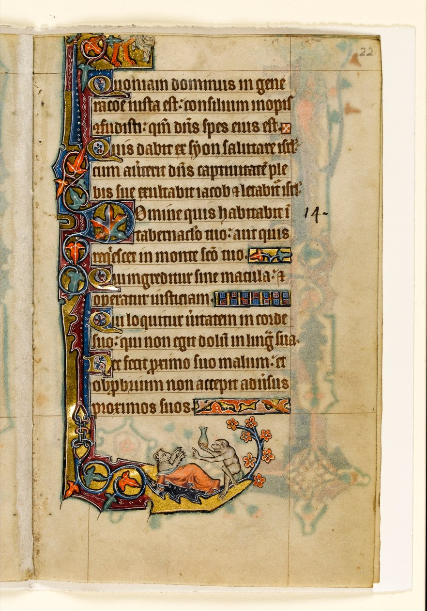 The Ape-doctor and His Bear-patient, Marginal Decoration from the Macclesfield Psalter, Use of Sarum, East Anglia (c.1330) by English School
