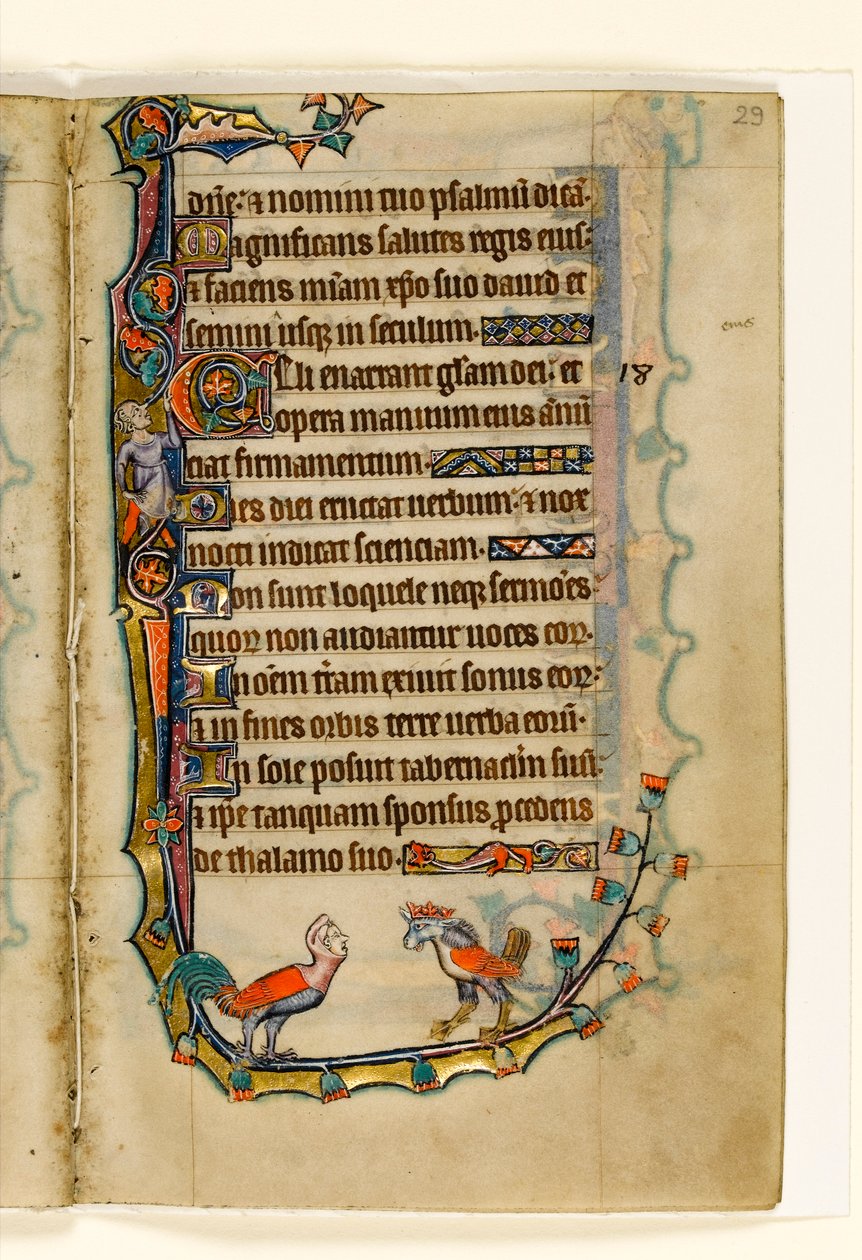 Two Bird-like Grotesques, Marginal Decoration from the Macclesfield Psalter, Use of Sarum, East Anglia (c.1330) by English School