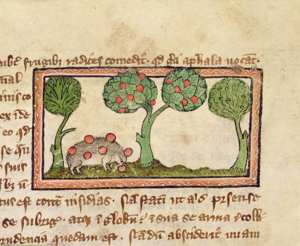 A hedgehog picking apples (detail) by English School