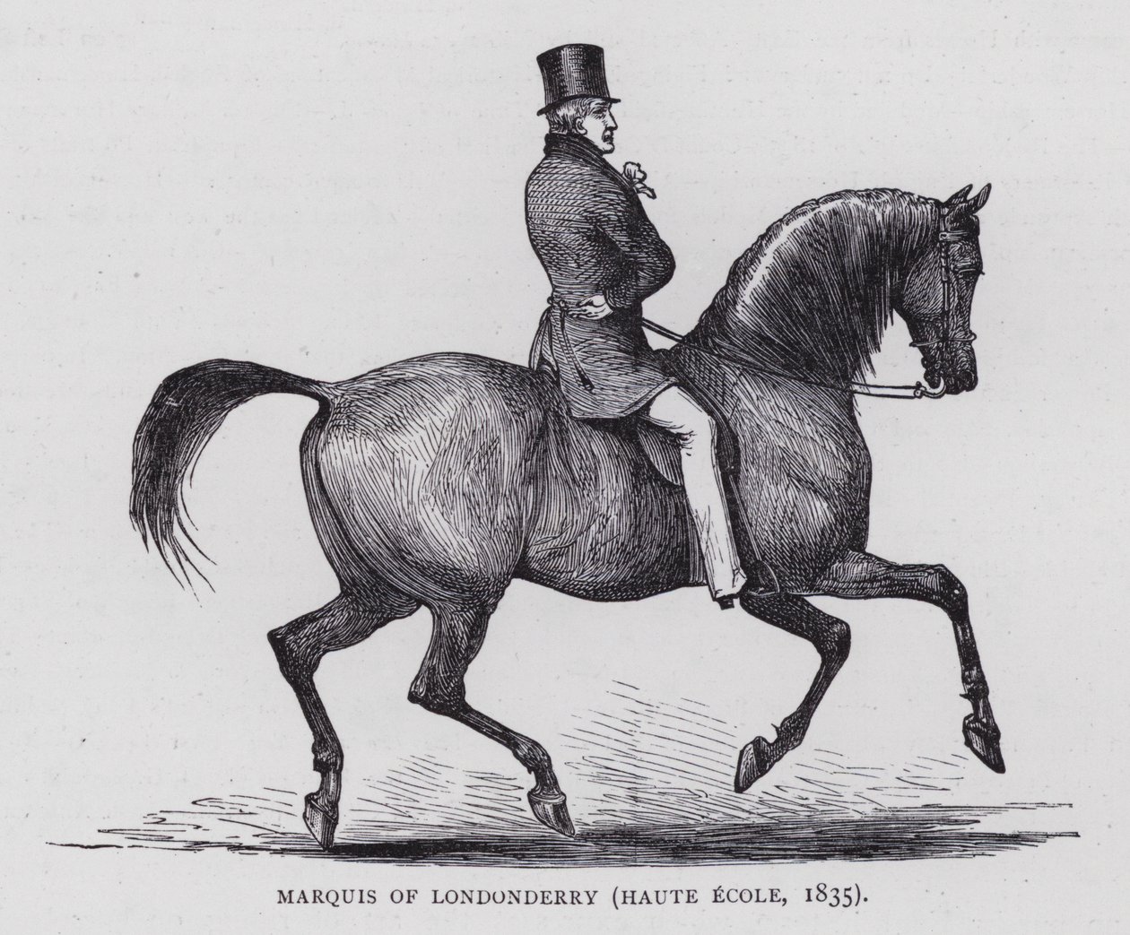 Marquis of Londonderry by English School
