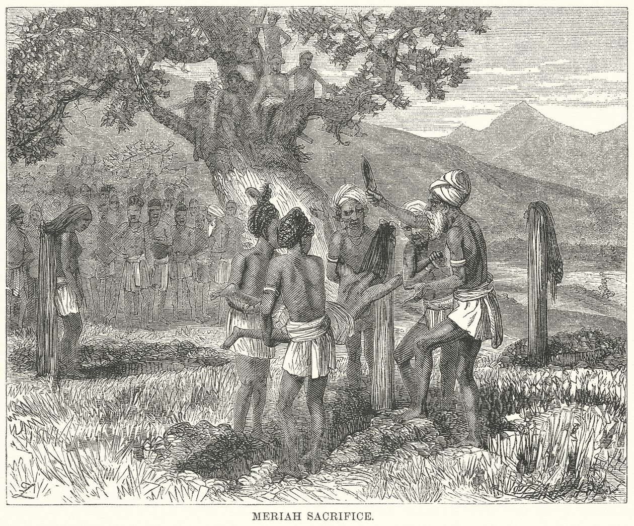 Meriah Sacrifice (engraving) by English School