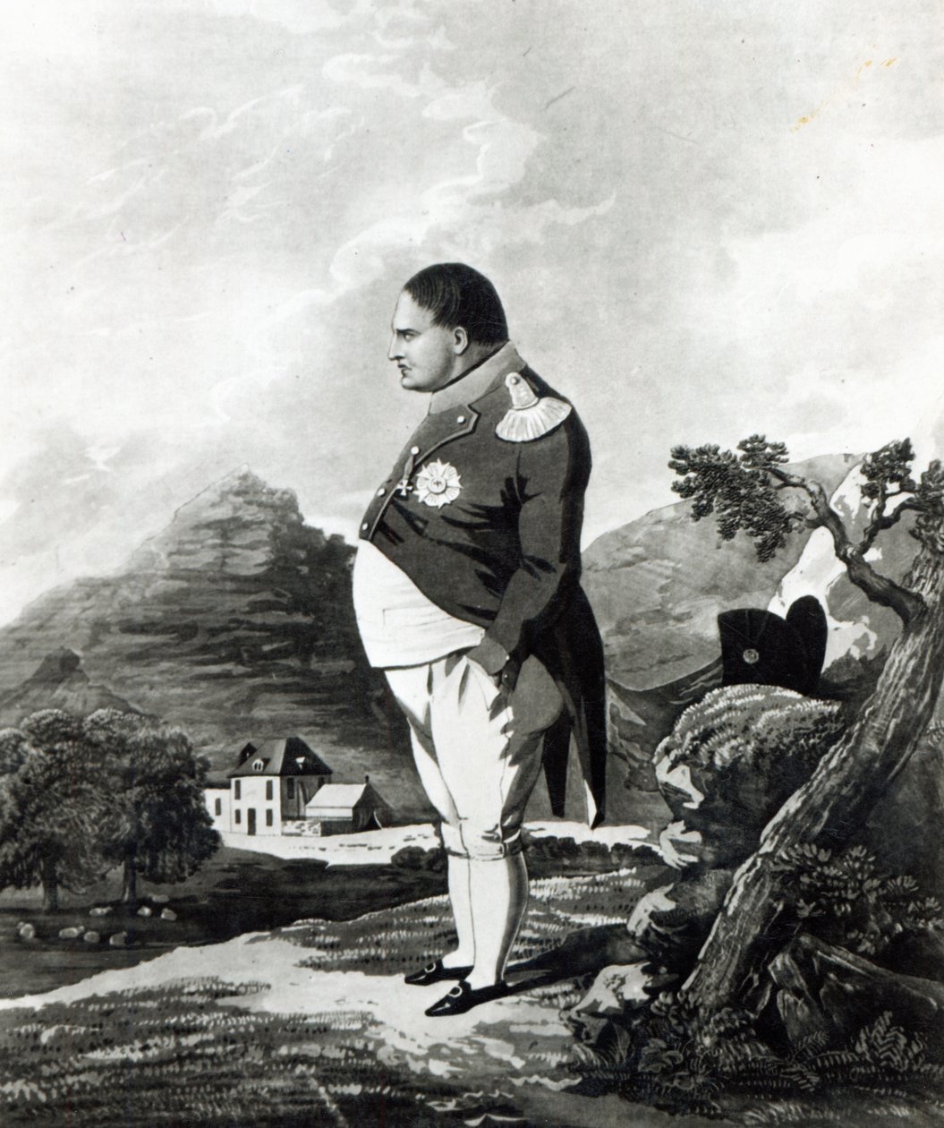 Napoleon on the Island of St. Helena by English School