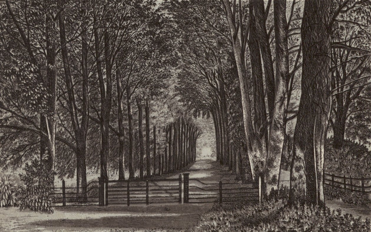 Newbury: Avenue, Highclere Park by English School