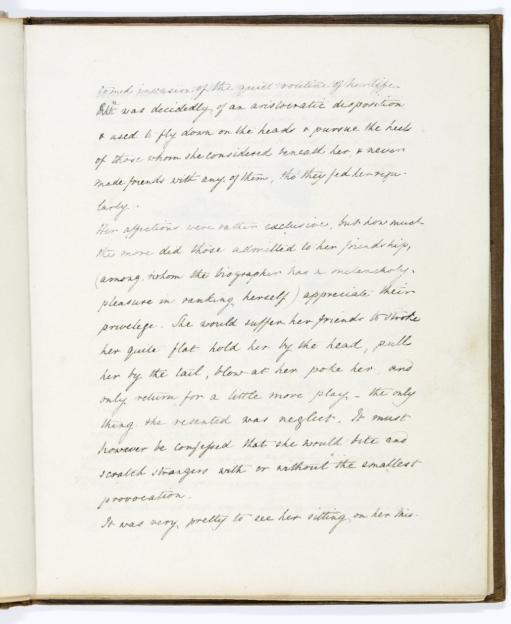 Page from The Life and Death of Athena, an Owlet from the Parthenon by English School