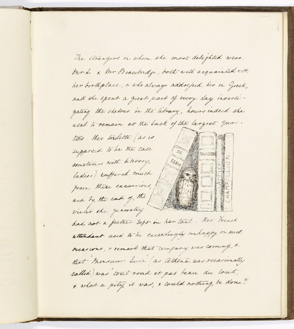Page from The Life and Death of Athena, an Owlet from the Parthenon by English School