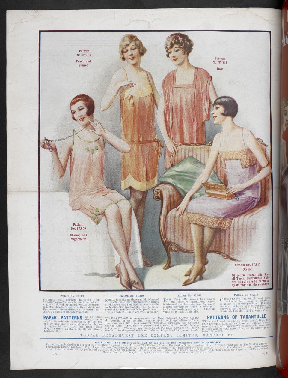 Paper Patterns for Chemise, Knickers, Cami-Knickers and Tarentulle, Fashions for All, October by English School