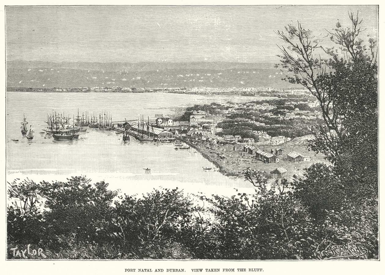 Port Natal and Durban. View taken from the Bluff by English School