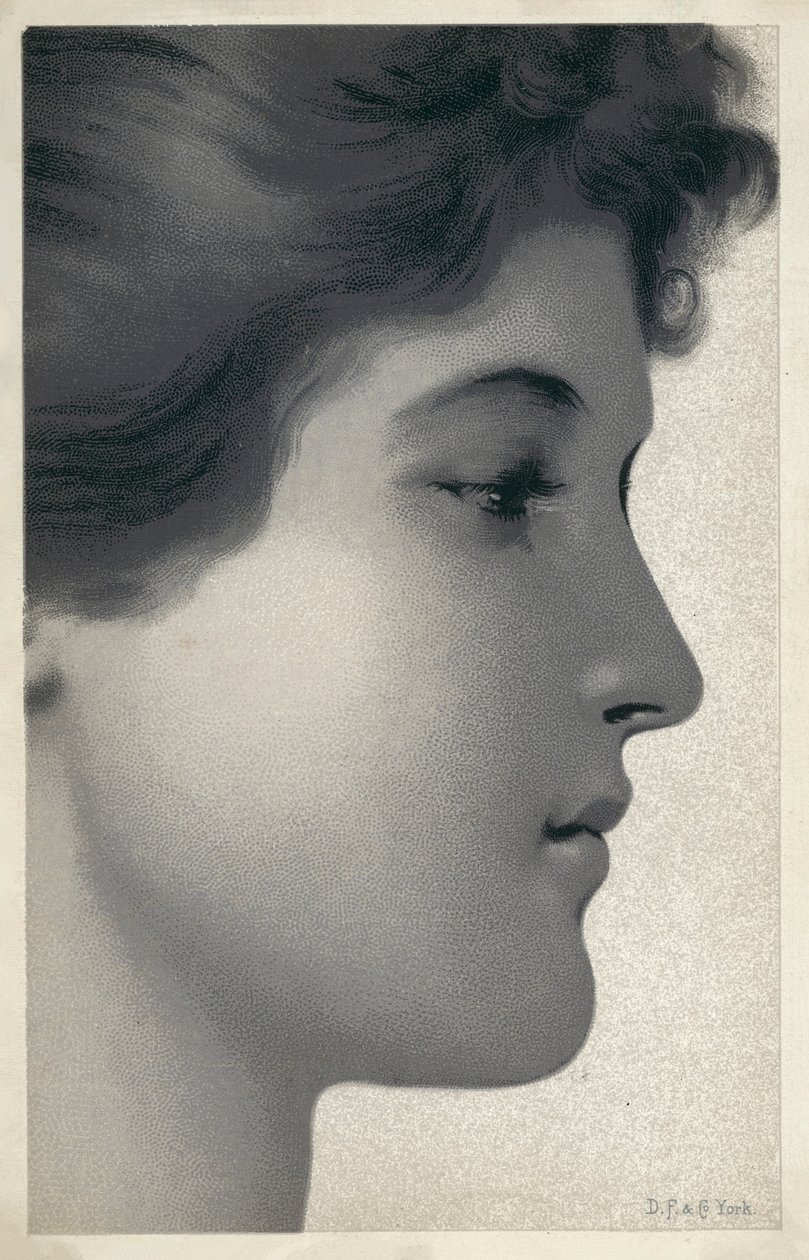 Portrait of a Young Woman by English School