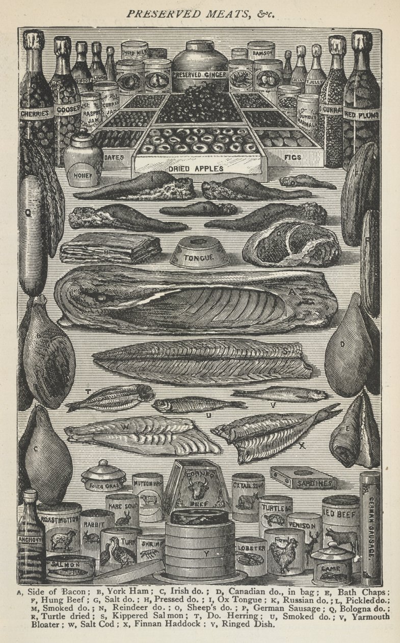 Preserved Meats, from Beeton