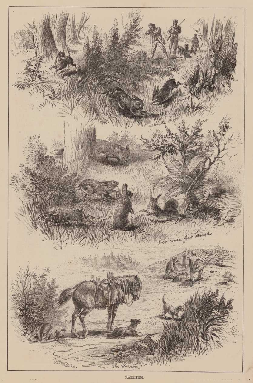 Rabbiting by English School