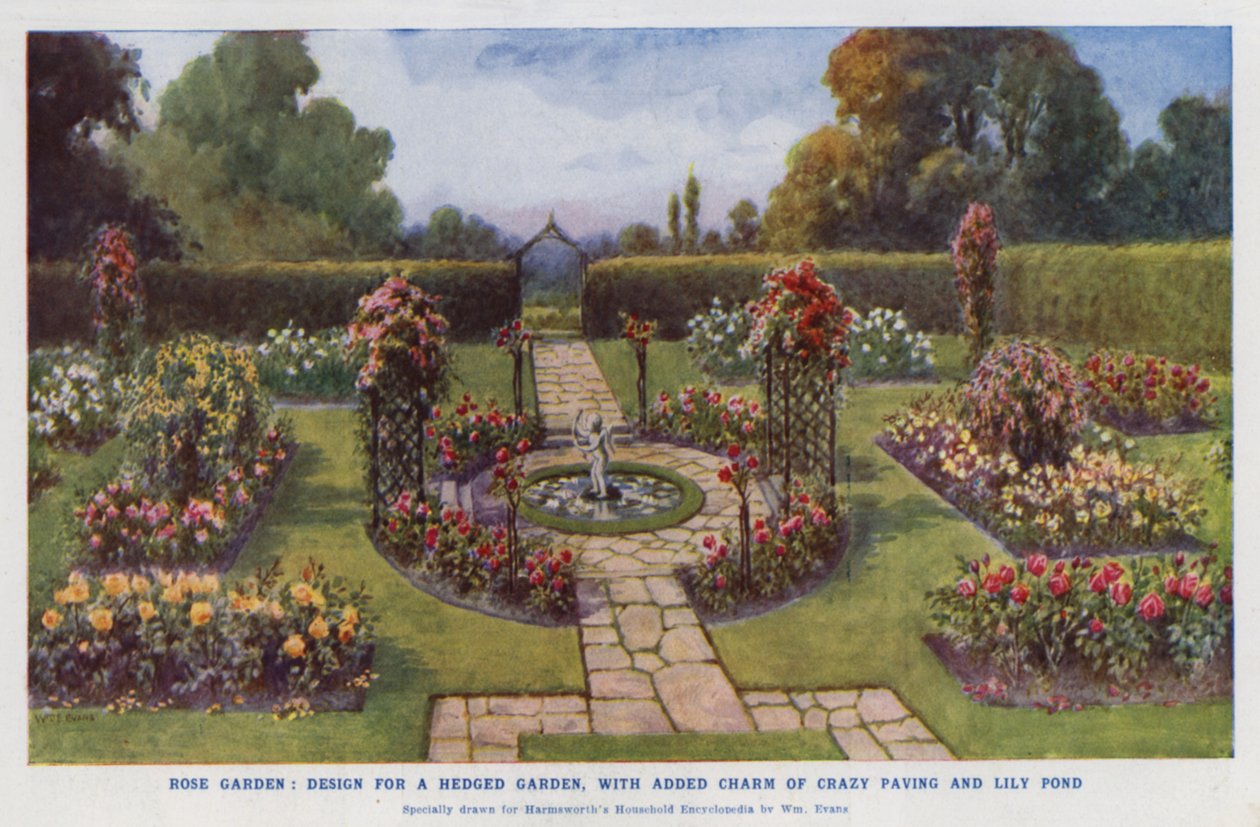 Rose garden, design for a hedged garden, with added charm of crazy paving and lily pond by English School