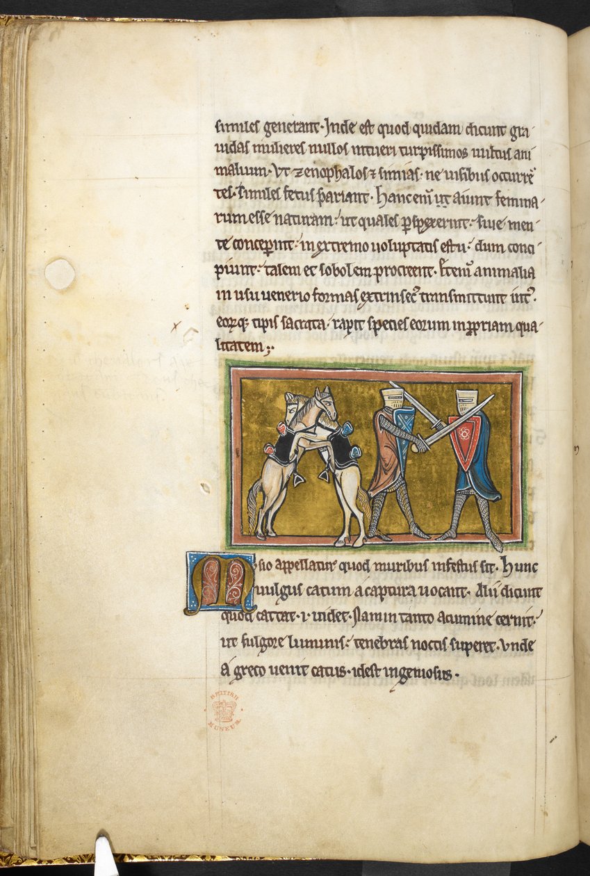 Two knights fighting on foot with swords, while their horses are fighting each other on hind legs, from Bestiary, Lapidary by English School