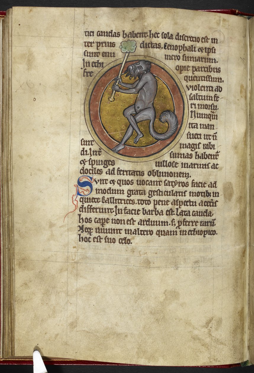 Satyr, from 'Bestiary', c.1200-10 by English School