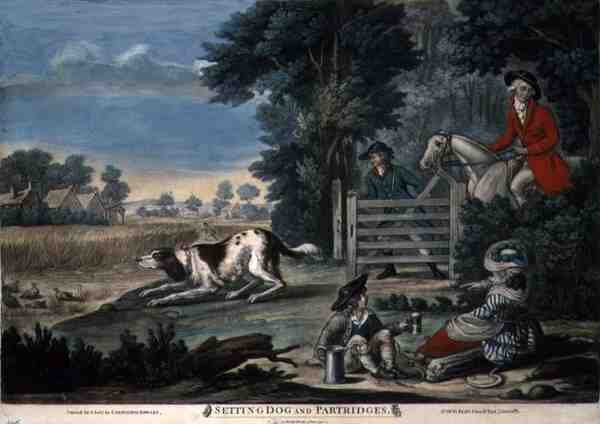 Setting Dog and Partridges, pub. by Carington Bowles by English School