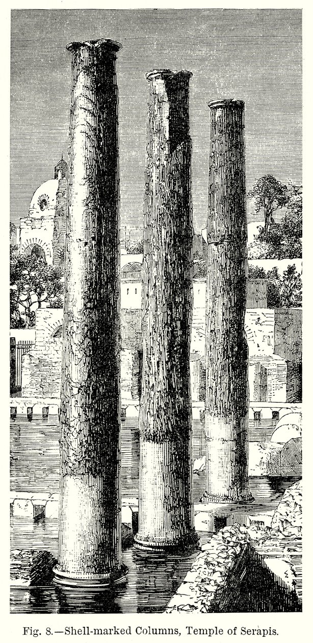 Shell-Marked Columns, Temple of Serapis (engraving) by English School