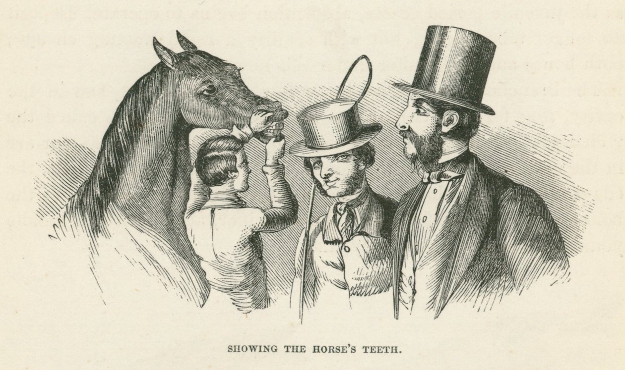 Showing the Horse